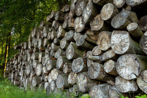 timbers stack 