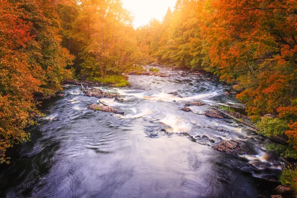 Paysage fluvial avec forêt orange et rouge automne Image En Vente