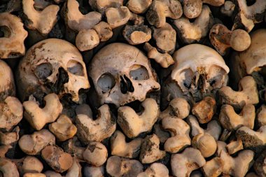 Ossuary 'de. Portekiz Evora 'daki Kemik Şapeli. Fransisken rahipleri tarafından kilisenin duvarlarını süslemek için yaklaşık 5000 kişi kullanıldı..