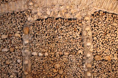 Ossuary 'de. Portekiz Evora 'daki Kemik Şapeli. Fransisken rahipleri tarafından kilisenin duvarlarını süslemek için yaklaşık 5000 kişi kullanıldı..