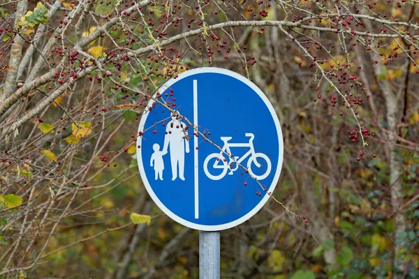 Road sign denoting the cycle lane and pedestrian lane situated in a rural area. The sign is partially obscured by a tree with red berries.