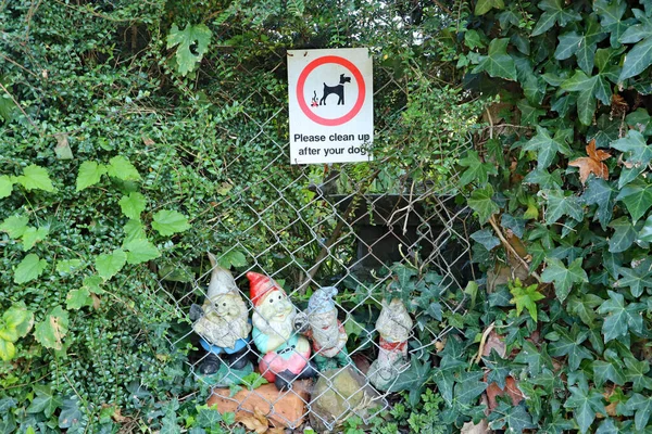Humorystyczna Grupa Krasnali Ogrodowych Znak Sprzątania Psiego Bałaganu Widzianego Ogrodzie — Zdjęcie stockowe