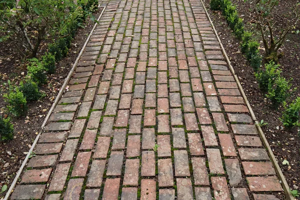 Pathway Made Old Bricks Runs Flower Beds Newly Planted Shrubs — Stock Photo, Image