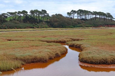 Su taşkını ovasından akan kahverengi, dolambaçlı nehir samuru ve denize girmeden önce Devon, Budleigh Salterton 'da doğa rezervi..