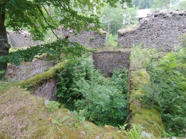 Kraliyet Silah ve Silah Fabrikası, Navarre, İspanya - 10 Temmuz 2019. Taş kalıntıları, ağaçlar ve bitki örtüsüyle çevrili doğal bir çevreye entegre edilmiş. Ormanlık bir vadideki terk edilmiş eski binalara yazılıyorlar..