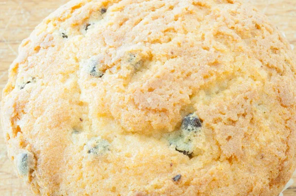 Macro muffin background — Stock Photo, Image