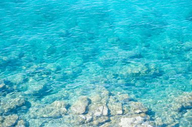 Türkiye 'de Akdeniz