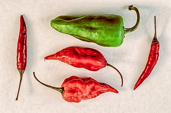 Chili peper — Stockfoto