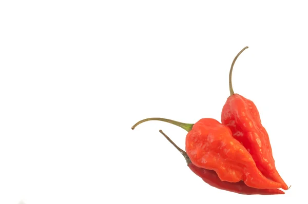 Stilleben av tre röd chili peppar — Stockfoto