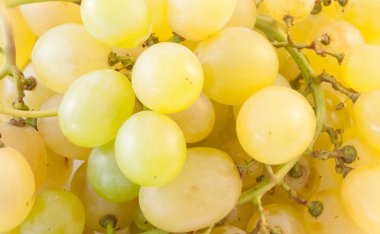 beyaz üzüm