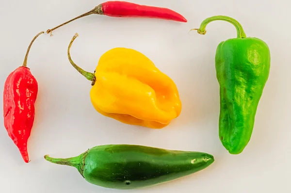 Stilleben av chili — Stockfoto