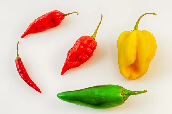 Stilleven Chilli — Stockfoto