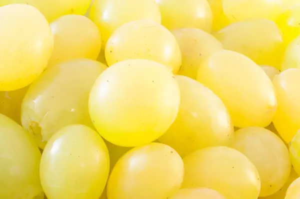 Uvas blancas — Foto de Stock