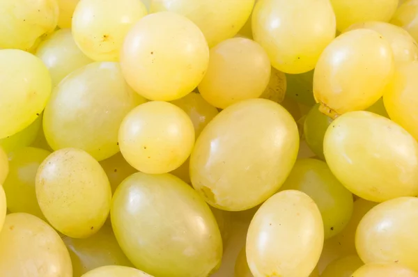 Uvas blancas — Foto de Stock