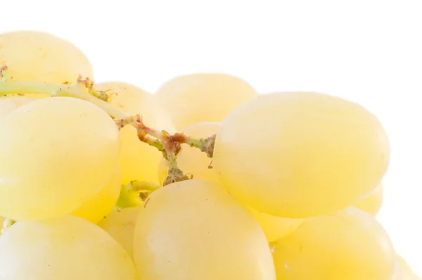 White grapes — Stock Photo, Image