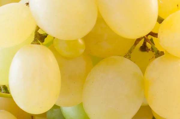 Uvas blancas — Foto de Stock