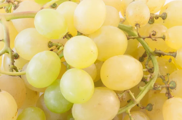 Uvas blancas — Foto de Stock