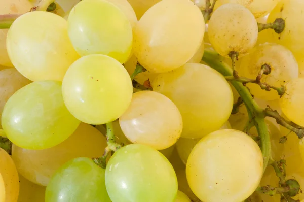 Uvas blancas — Foto de Stock