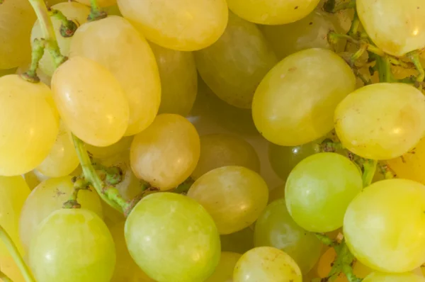 Uvas blancas — Foto de Stock