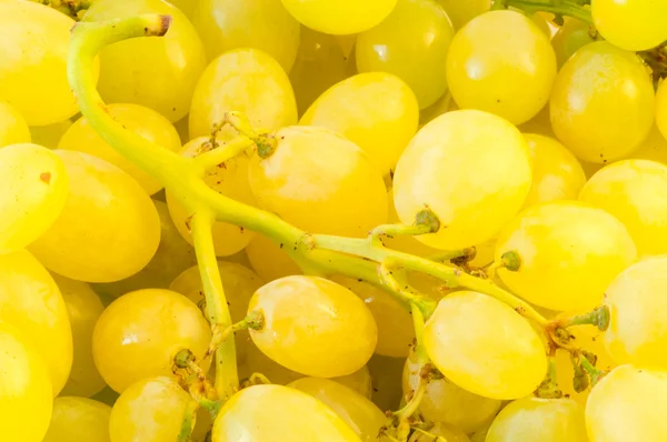 Uvas blancas — Foto de Stock