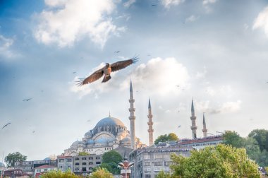 istanbul'da cami