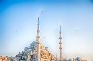 güneşli bir gün camide