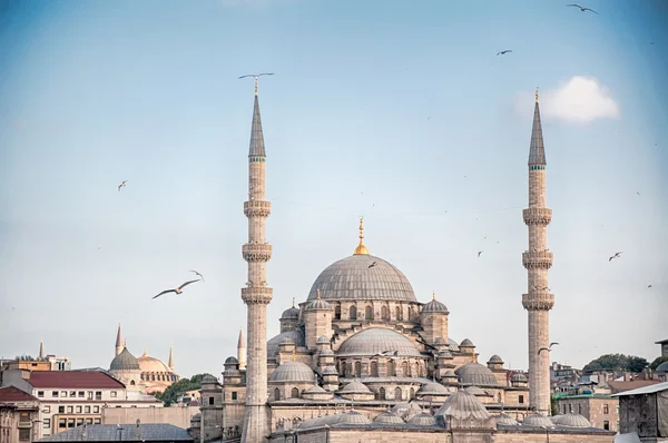 Mosque in istanbul — Stock Photo, Image