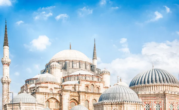 伊斯坦布尔美丽的清真寺 — 图库照片