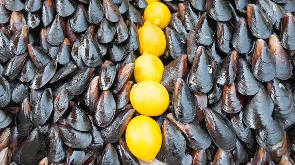 Cozze e limone — Foto Stock