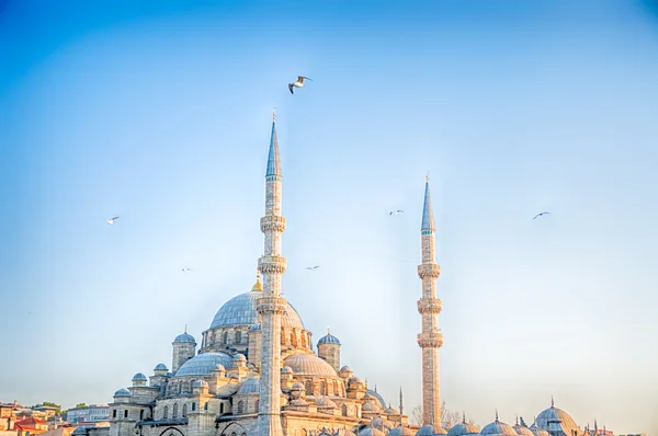 güneşli bir gün camide