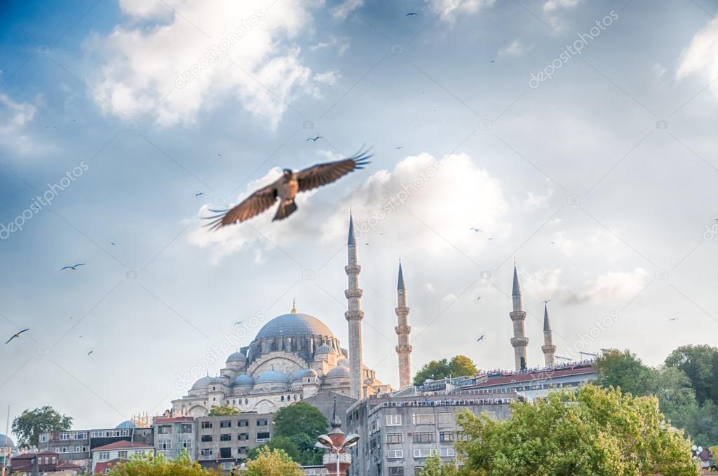 mosque in istanbul