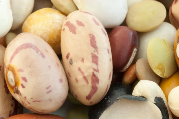 Legumes soup — Stock Photo, Image