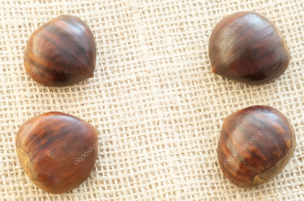 chestnut