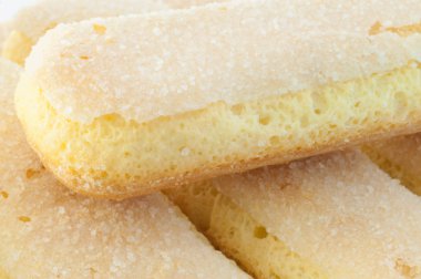 kedi dili tanımlama bilgileri