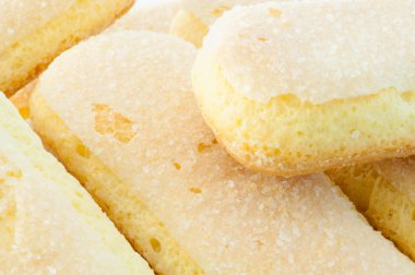 kedi dili tanımlama bilgileri