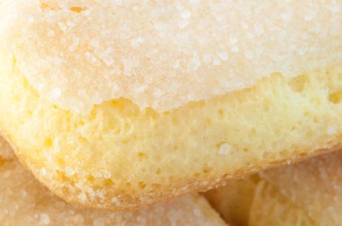 kedi dili tanımlama bilgileri