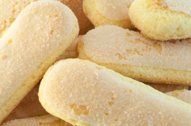 kedi dili tanımlama bilgileri