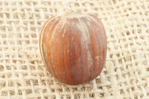 Hazelnut на фоне джута — стоковое фото