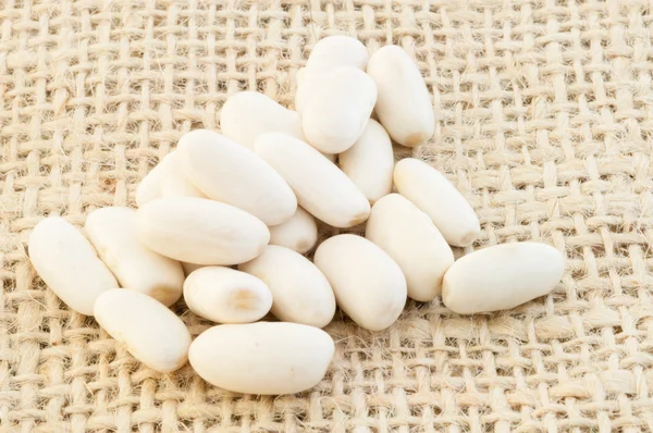Cannellini beans — Stock Photo, Image