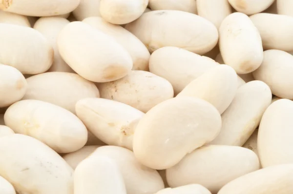 Cannellini beans — Stock Photo, Image