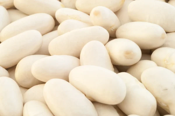 Cannellini beans — Stock Photo, Image