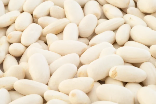 Cannellini beans Royalty Free Stock Images