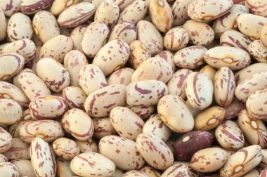 Pinto fasulye