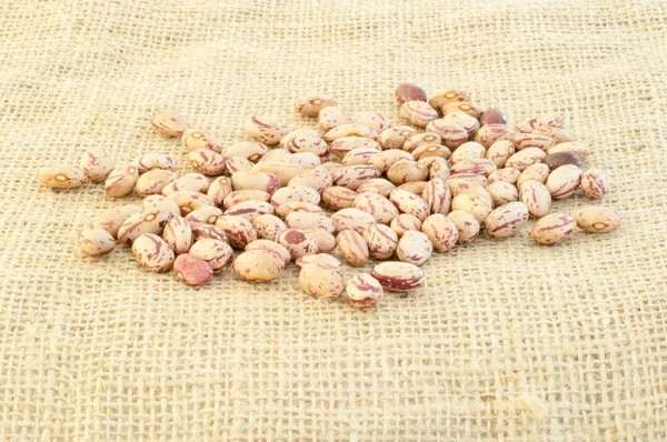 Pinto beans — Stock Photo, Image