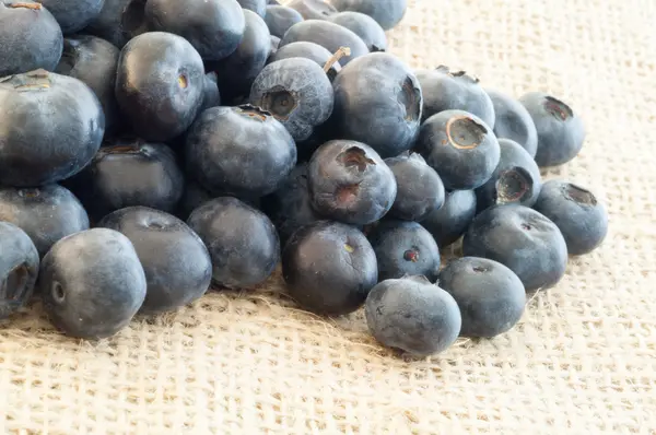 Blueberry details — Stock Photo, Image