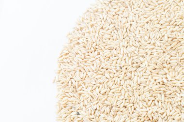 yulaf tohumu arka plan