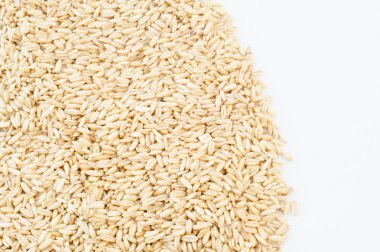 yulaf tohumu arka plan