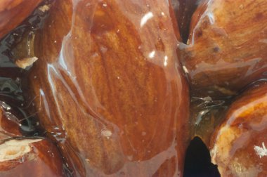 güzel gevrek fındık