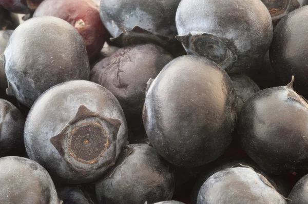 Details of blueberry — Stock Photo, Image