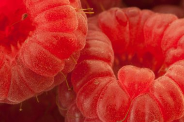 Ahududu ayrıntılarını